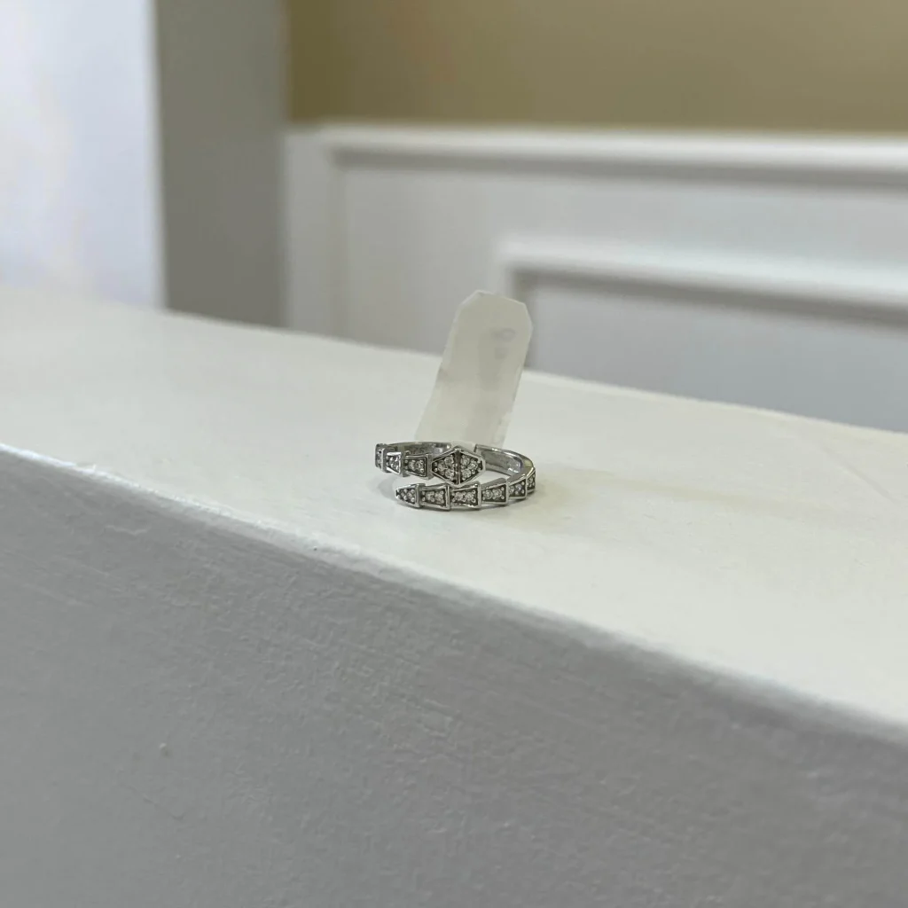 Snake Ring Silver Jewelry